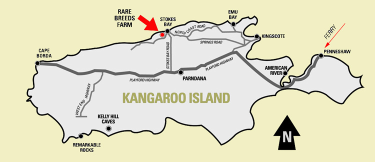 kangaroo island map showing stokes bay